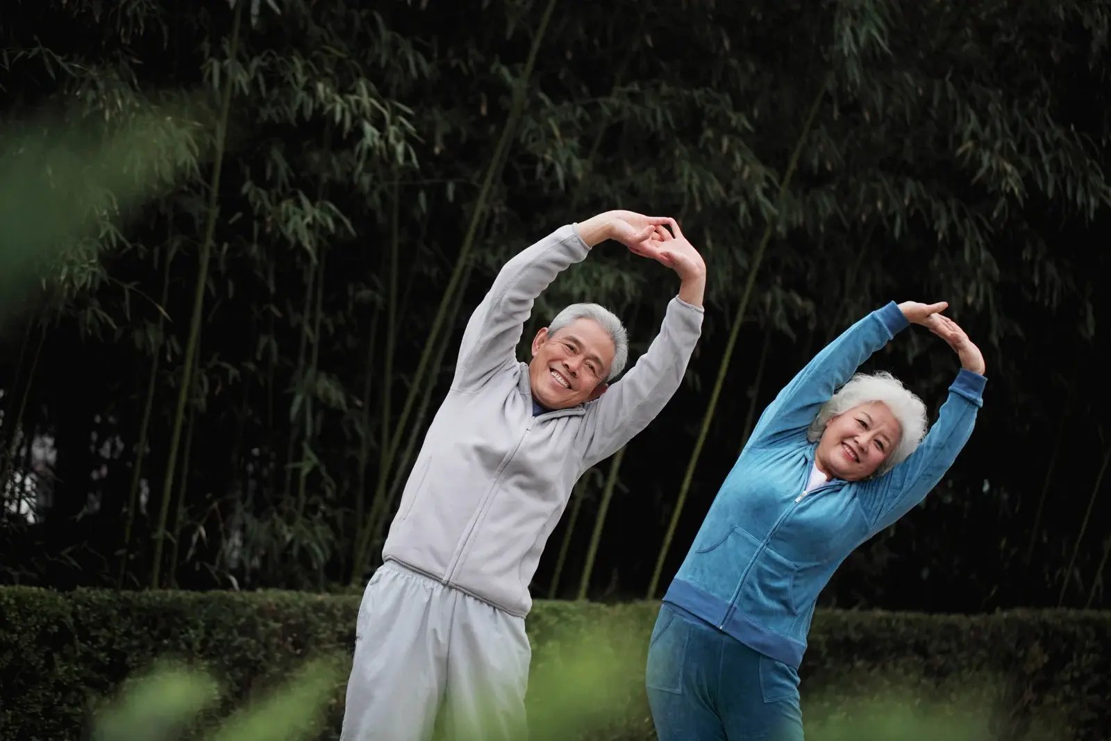 Active Wellbeing