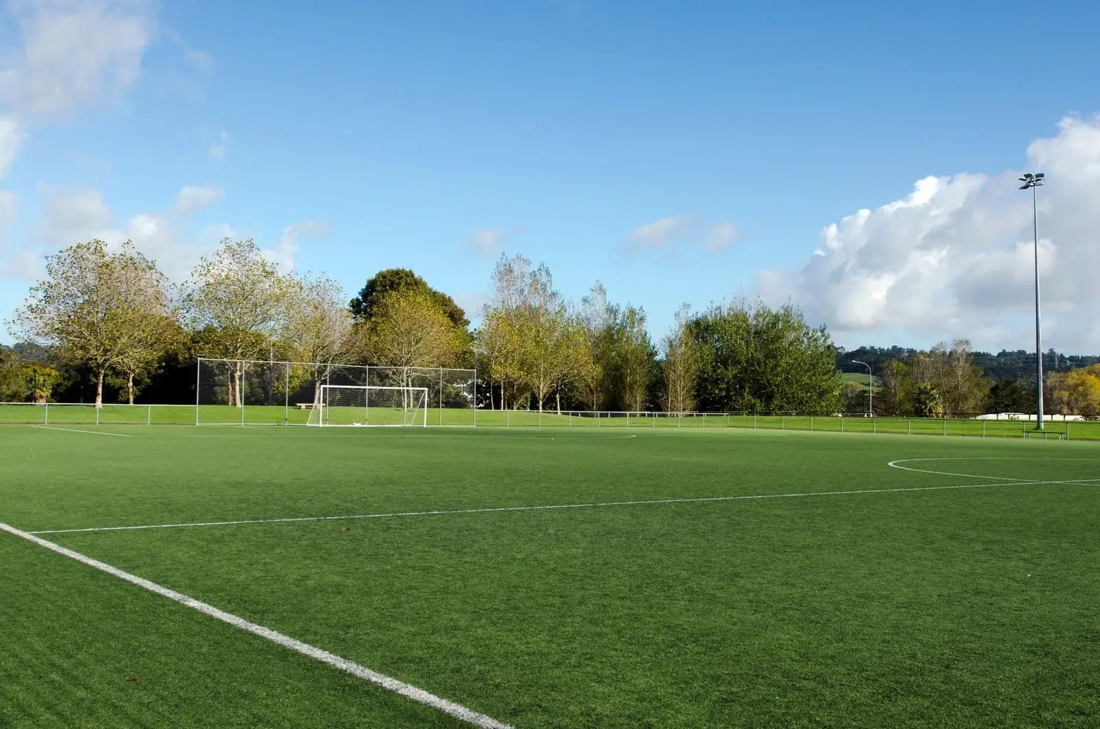 association-football-pitch