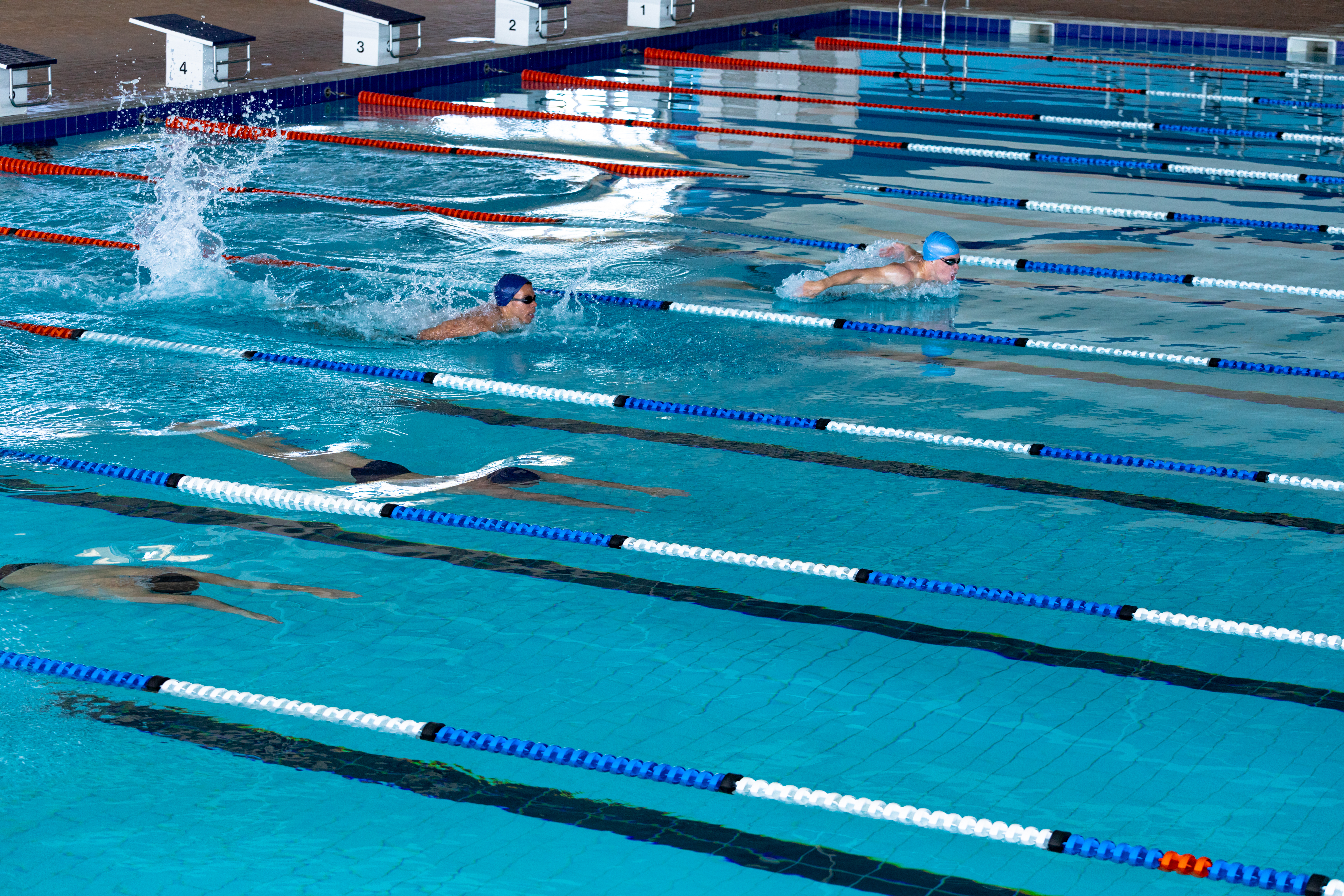 Swimmers using lanes in a community swimming pool.